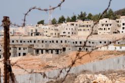 Palestina ancam ajukan banding ke DK PBB