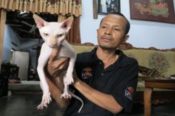 Melongok penangkaran...