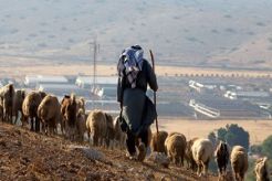 Ini cara licik Israel caplok wilayah Palestina