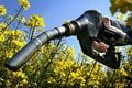Tahun ini penyerapan biodiesel ditarget 4 juta kl