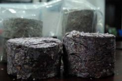 BI musnahkan uang rusak Rp105 triliun
