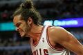 Bulls bangkit dari kematian