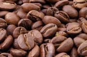 Kopi Arabika Toraja raih sertifikat dari Kemenkum HAM