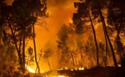 Kebakaran hutan di Riau semakin memburuk