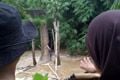 Jembatan runtuh, 300...