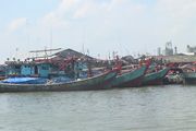 Ratusan kapal ikan 30 GT di tak melaut
