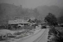 Kerugian letusan Kelud di Malang capai Rp392 miliar