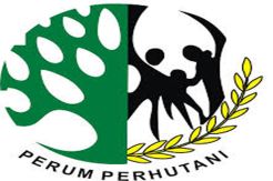 Perum Perhutani bidik laba tahun ini Rp287 M