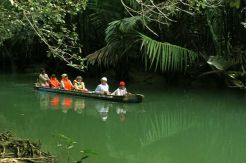 Liburan mencekam ala Cigenter yang bernuansa Amazon