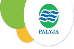 Pipa bocor, Palyja kurangi pasokan air