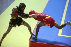 Atlet wushu Tanah Karo lanjutkan dominasi