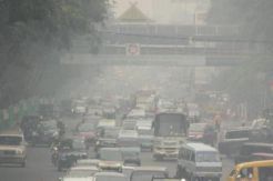 Kebakaran hutan & lahan di Riau telan korban jiwa