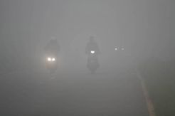 Kondisi udara di Riau sudah berbahaya