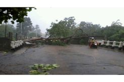 Angin Gusty terjang Bali, tinggi gelombang capai 3 meter