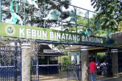 Ini jawaban penjual lahan Kebun Binatang Bandung