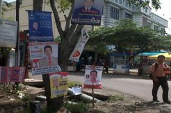 Jangan pilih caleg penunggu pohon
