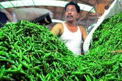 Harga melambung, pedagang mengoplos cabai
