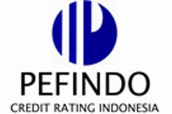 Pefindo gaet CIC Japan kembangkan biro kredit swasta