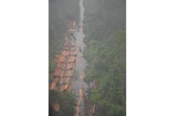 450 ton kayu hasil perambahan Cagar Biosfer disita