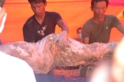 Kematian mencurigakan, makam PRT dibongkar lagi