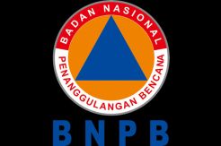Tsunami Chili berimbas ke Indonesia, server BNPB down