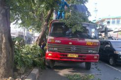 Ketinggian, truk bermuatan mesin tank tersangkut pohon