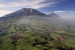 Nihil, Tim SAR hentikan pencarian Asmo Sipon
