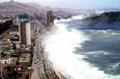 Banyak nelayan yang cuek dengan tsunami Chili