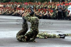 KSAD ancam pecat prajurit yang berpolitik
