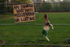 Jelang laga derby, Hannover mendapat teror