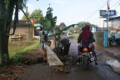 Warga tanami pohon pisang di tengah jalan