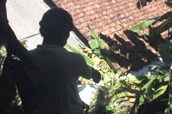 Longsor di Pangandaran, 1 Rumah tertimpa tebing