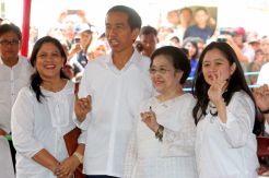 Jokowi temui dubes asing tanpa Nasdem itu aneh