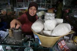 Ikagi minta pemerintah lindungi gula nasional