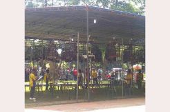 Indonesian Bird Champion tembus 1.500 peserta