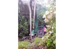 Warga Semende digegerkan foto penangkapan Anaconda