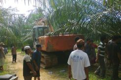 Kalah nyaleg, mandor kebun nekad putus jalan umum