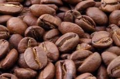 RI siap pamerkan 29 jenis kopi di AS