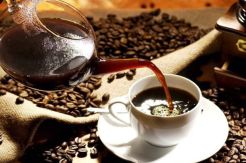 Kopi Sumatera Mandailing jadi inspirasi di SCAA ke-26