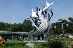 Semangat Papua dibawa ke Surabaya