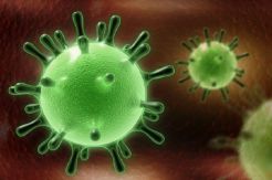 Kemenkes segera cek laboratorium kasus dugaan virus Corona