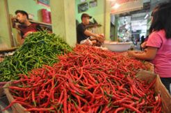Harga cabai anjlok, petani rugi jutaan rupiah