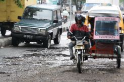 Jalan Adi Sucipto ditanami pohon pisang dan kates