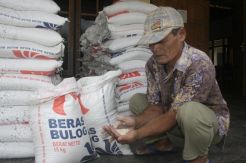 Bulog Bagikan Raskin Berkutu dan Bau Apek