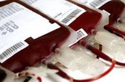 Pemerintah Kurang Perhatikan Penderita Thalassaemia
