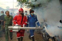 9 Tewas Akibat DBD, Bupati Turun Tangan Lakukan Fogging
