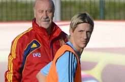 Del Bosque Siapkan Tempat Untuk Torres