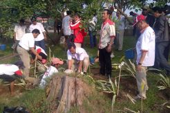 Gerindra Tanam 1.200 Pohon