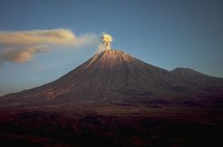 Pencarian Pendaki yang Hilang di Semeru Difokuskan ke Tawon Songo