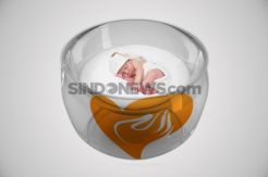 Bayi Berusia 28 Hari Diduga Dianiaya Ibunya
